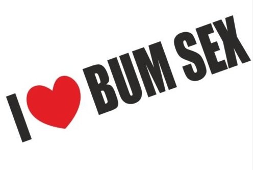 I Love Bum Sex. Lustiger Auto-Aufkleber für die Stoßstange. von ARZER