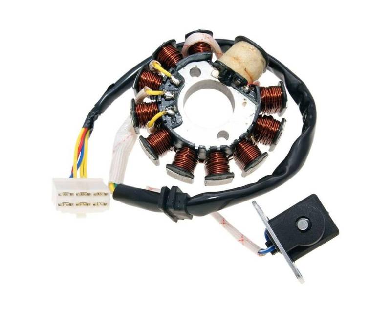 2EXTREME Lichtmaschine/Stator 11 Spulen 6-polig GY6 125, 150ccm kompatibel für Baja RT 150 4T AC, Baotian von 2EXTREME