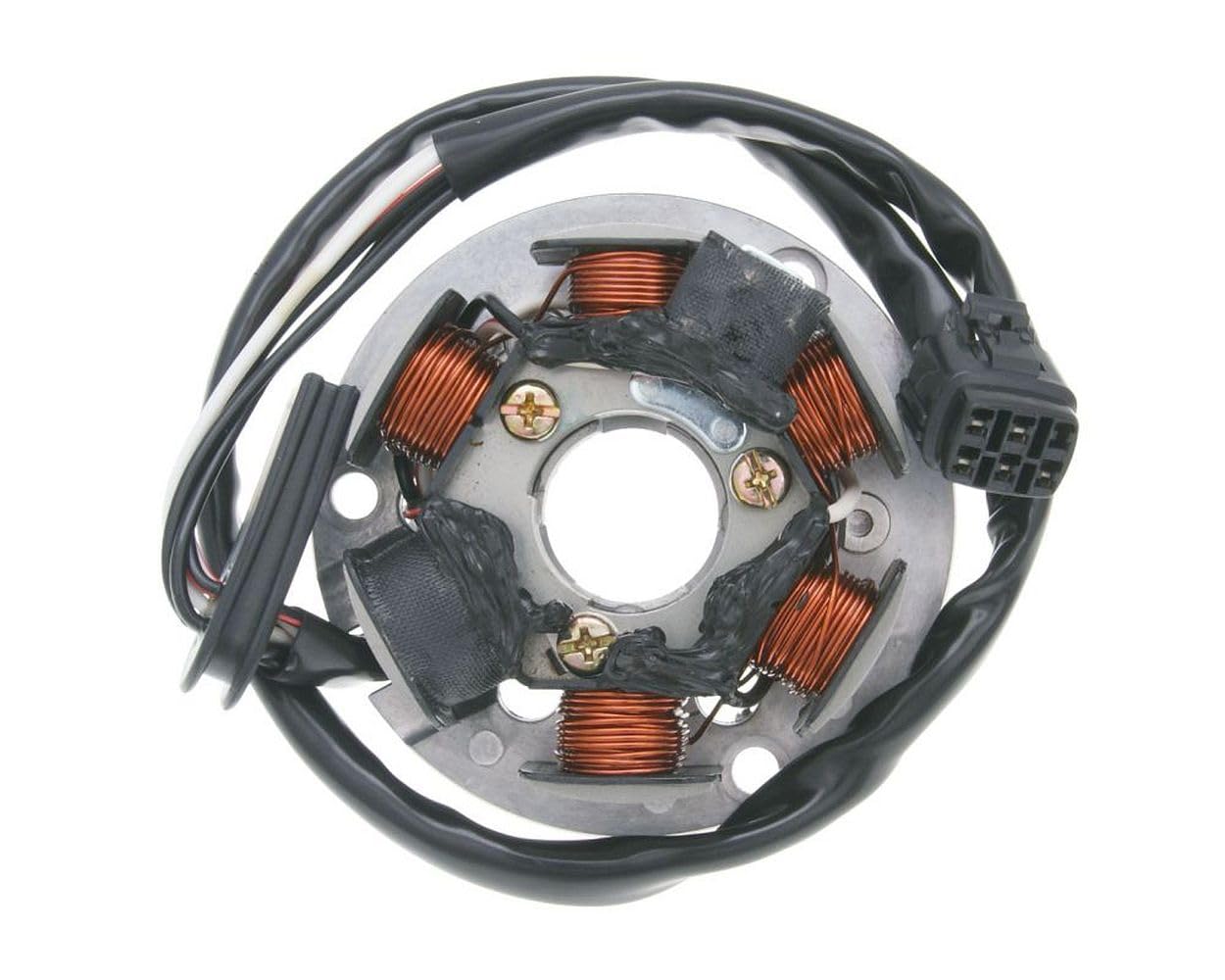 2EXTREME Lichtmaschine Stator für CPI SX 50, SM 50 – Wassergekühlt, Einbaufertig CPI-51A-21130-20-00 von 2EXTREME