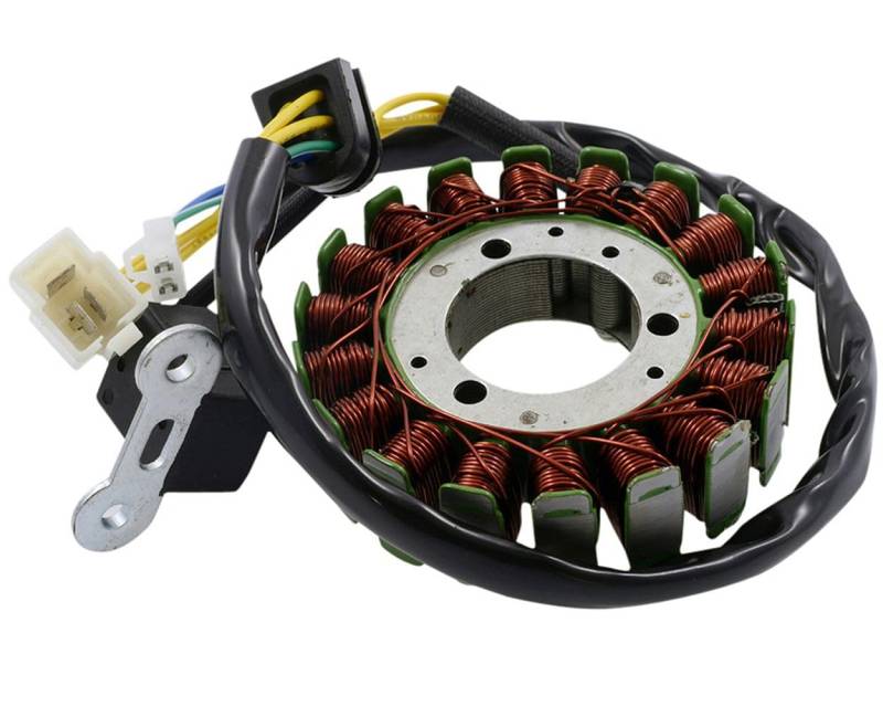 Lichtmaschine/Stator kompatibel für Kymco Dink und People 250 Bet & Win S70000 2000-2004 19,7PS, 14,5KW, Grand Dink 250 S41011 2005 19,6PS, 14,4KW von 2EXTREME