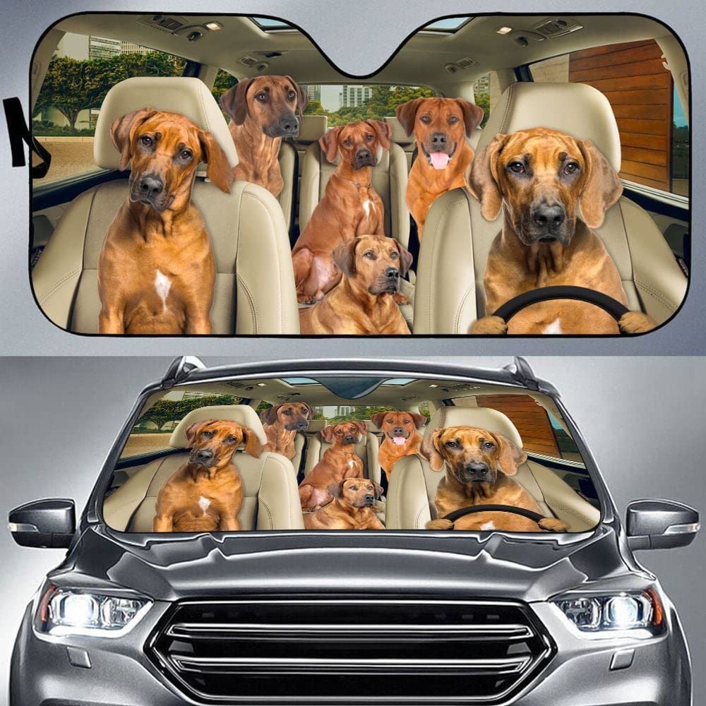 Auto Windschutzscheibe Sonnenblende Auto Windschutzscheibe Sonnenschirm Sonnenschutz Auto Frontscheibe Sonnenschutz Universal Für Lastwagen Sommer Ridgeback-Hunde, Ridgeback-Hund, Der Auto Fährt M von 351