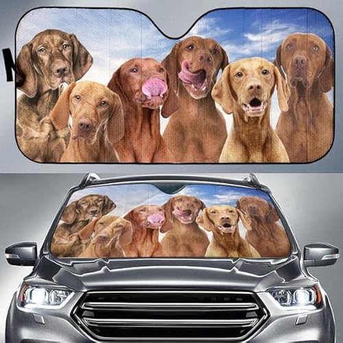 Auto Windschutzscheibe Sonnenschutz Sonnenschutz Auto Windschutzscheibe Sonnenschirm Wasserbeständig Auto Windschutzscheibe Sonnenblende Universal Magyar Vizsla Hundefamilie Blauer Himmel M von 351