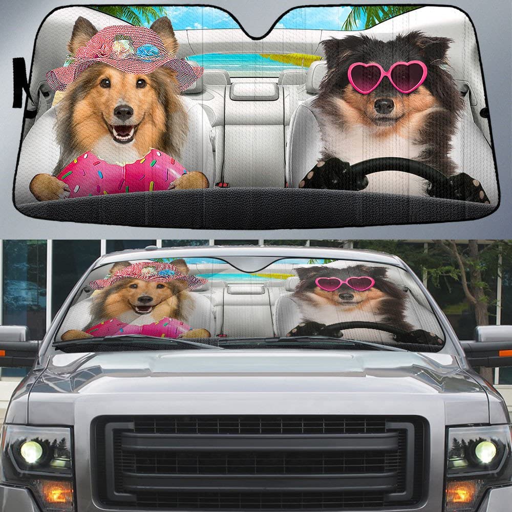 Sonnenschutz Auto Frontscheibe Sonnenschutz Auto Frontscheibe Sonnenschutz Auto Windschutzscheibe Sonnenschutz Universal Shetland Sheepdog Hunde, Sheltie Dog Paar Autofahren Sommer S von 351