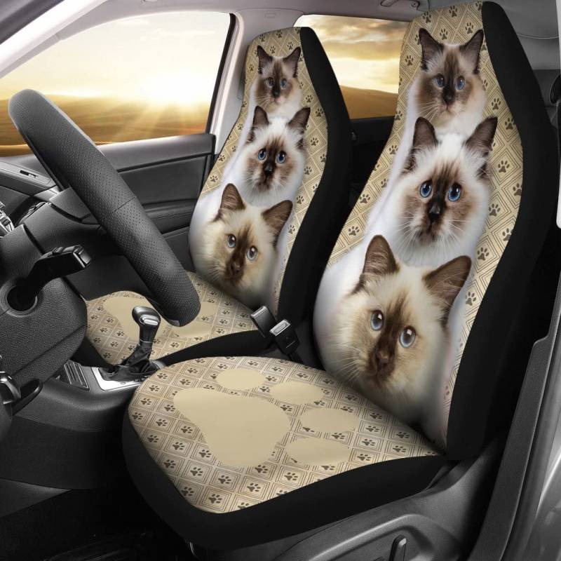 Autositz Schonbezug DREI Birma-Katzen-Katzen-Tatzen-Druck-Weinlese Autositzbezug Universell Passende Autositzbezüge Für Fahrzeuge, Autos, Anhänger, 52X138Cm von 456