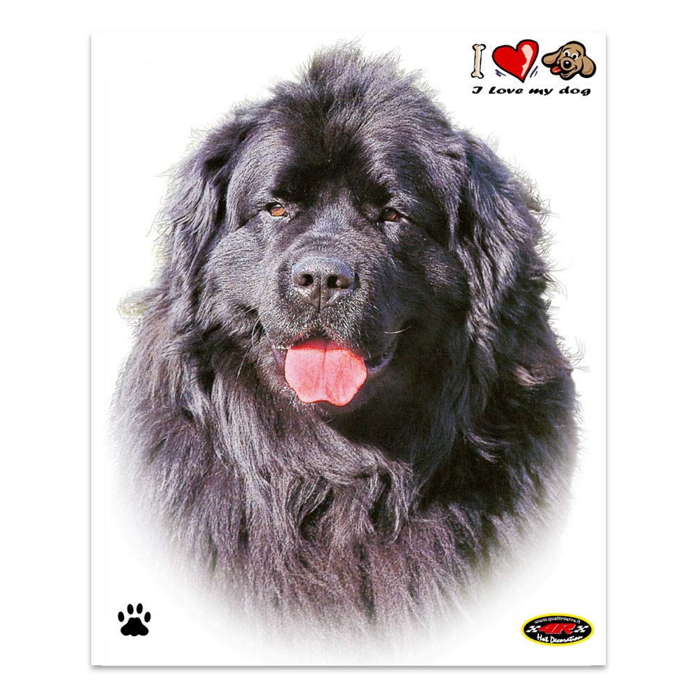 4R Quattroerre.it 8004 Sticker Aufkleber Hund Neufundländer, 13.5 x 16 cm von 4R Quattroerre.it