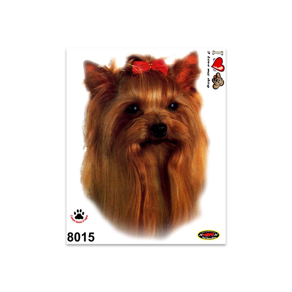 4R Quattroerre.it 8015 Sticker Aufkleber Hund Yorkshire Terrier, 13.5 x 16 cm von 4R Quattroerre.it