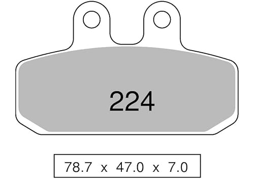 Trofeo Bremsbeläge Sinter vorne, kompatibel mit Scarabeo 200 - GT (Rotax Engine) 2000-2001 - 2002-2003 von 4moto