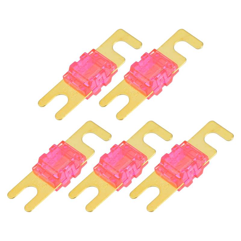 A ABSOPRO Mini ANL Sicherungen 125A / Audio CD Sicherung für Auto / 5 Stück Goldton Pink von A ABSOPRO