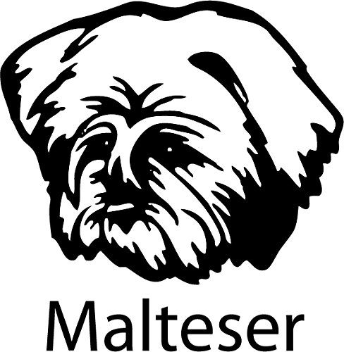 A&D design Deutschland Aufkleber/Wandtattoo Hund - Malteser - 20cm - Farbauswahl verfügbar! von A&D design Deutschland