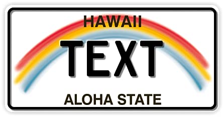 USA Kennzeichen | Fun Schild | Wunschkennzeichen | Namensschild | Fun Kennzeichen | 300 x 150 mm | verschiedene Staaten | Funschilder individuell mit Wunschtext günstig gestalten (Hawaii Rainbow) von A. Sievers GmbH