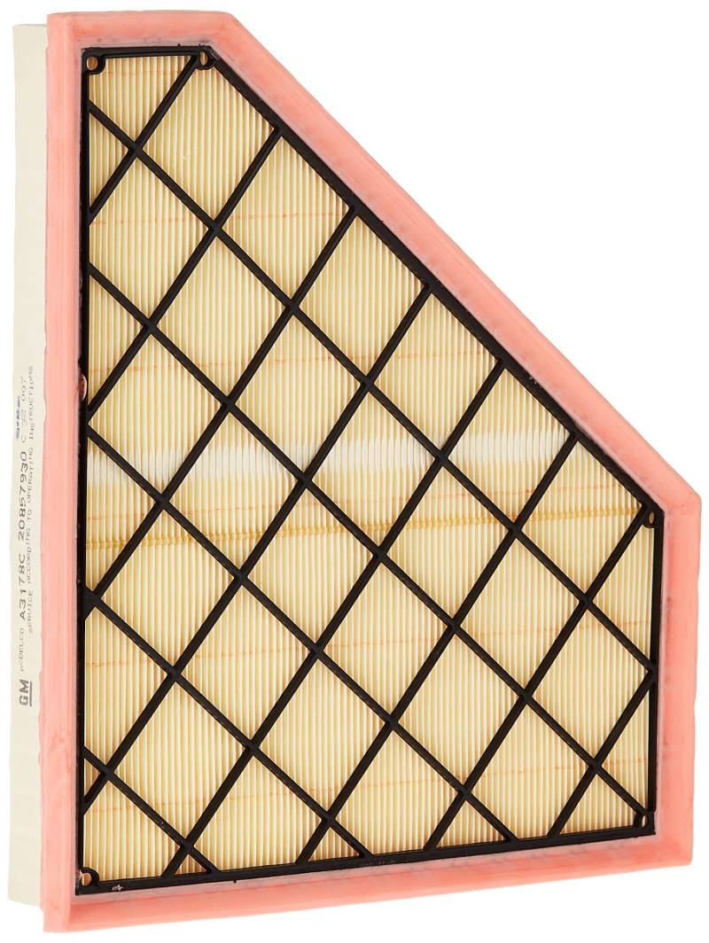 ACDelco a3178 C Professional Air Filter von ACDelco