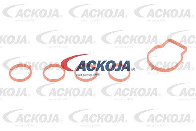 Ackoja Saugrohr, Luftversorgung [Hersteller-Nr. A26-0245] für Honda von ACKOJA