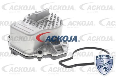 Ackoja Wasserpumpe [Hersteller-Nr. A70-16-0010] für Lexus, Toyota von ACKOJA