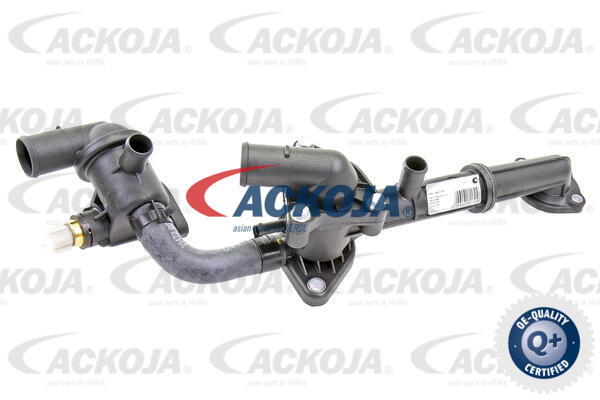 Thermostat, Kühlmittel ACKOJAP A52-99-0021 von ACKOJAP