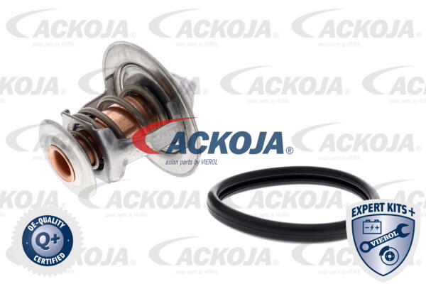 Thermostat, Kühlmittel ACKOJAP A70-99-0031 von ACKOJAP