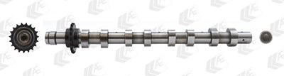 Ae Nockenwelle [Hersteller-Nr. CAM746] für Citroën, Fiat, Ford, Mazda, Mini, Peugeot, Santana, Suzuki, Volvo von AE