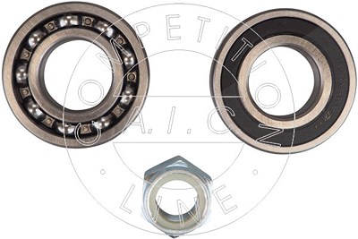 Aic Radlagersatz [Hersteller-Nr. 59593] für Renault von AIC