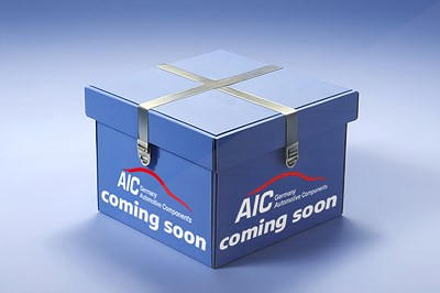 Aic Türgriff, Innenausstattung [Hersteller-Nr. 75671] für Hyundai von AIC