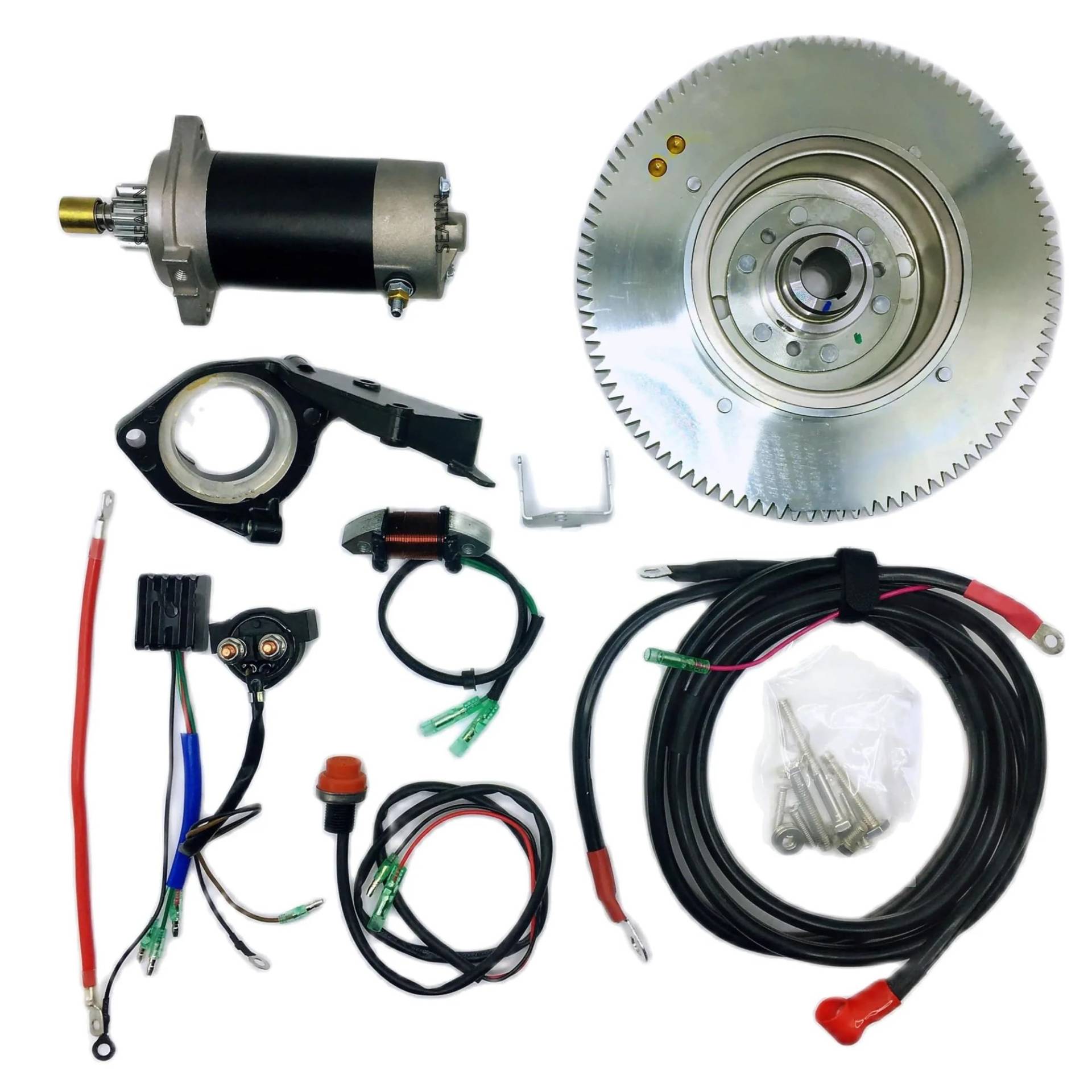 Startermotor Motor Anlasser Für Außenbordmotor T30 T25 E30 30hmhs/L Hwl Mhl 2-Takt 25 PS 30 PS 496 Cc Anlasser Schwungrad Ladespule Elektrostarter Kit von AJHJET