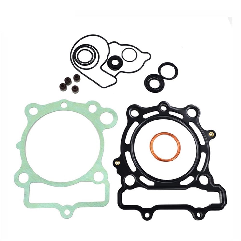 Motorrad-Motordichtung, kompatibel mit KXF250 Modellen, Baujahr 2009 bis 2016 von ALOFdH