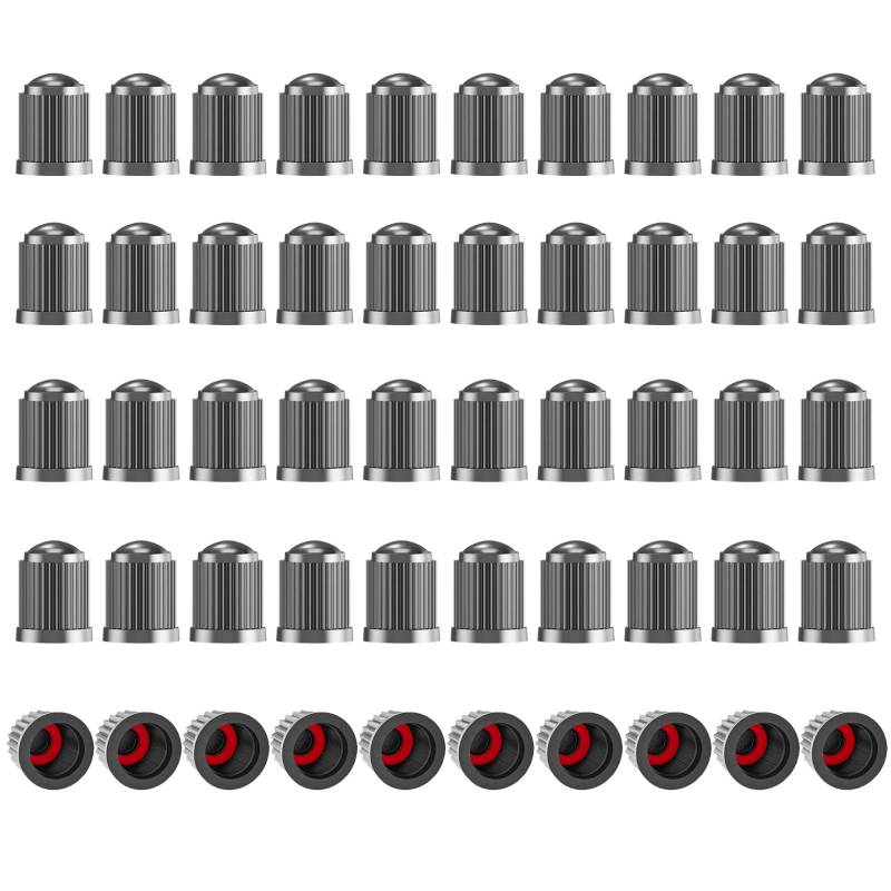 50 Stück Ventilkappen Auto, Ventilkappen Fahrrad Mit Dichtung, Autoreifen Ventilkappen, Autoventil Kappe, Stabilen Reifendruck für Auto, PKW, SUV, Motorrad (Grau) von ANBOO