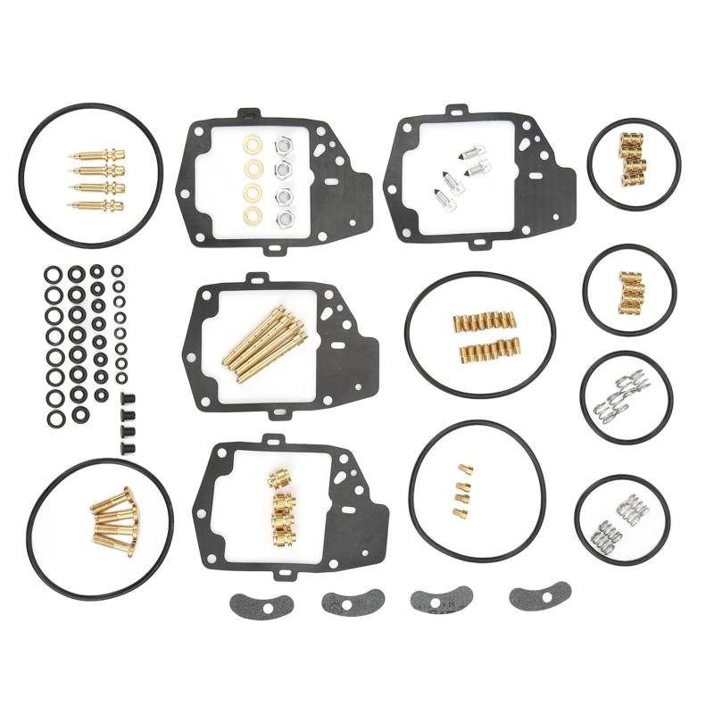 118 teiliges Vergaser Reparatursatz, Vergaser Dichtung, Vergaser Dichtsatz mit Dicht O-Ring Ventil Nadel Düse Schraube Feder, Ersatz für Goldwing 1000 GL1000 1976 und GL1000LTD Limited 1976 von ANKROYU