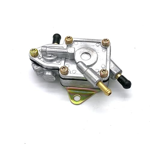 ANYHUG Motorrad-Kraftstoffpumpe passend for Buyang Feishen D300 H300 G300 300 cc JCL Linhai 260 cc 260 Manco Talon ATV Quad Update-Ersatz von ANYHUG