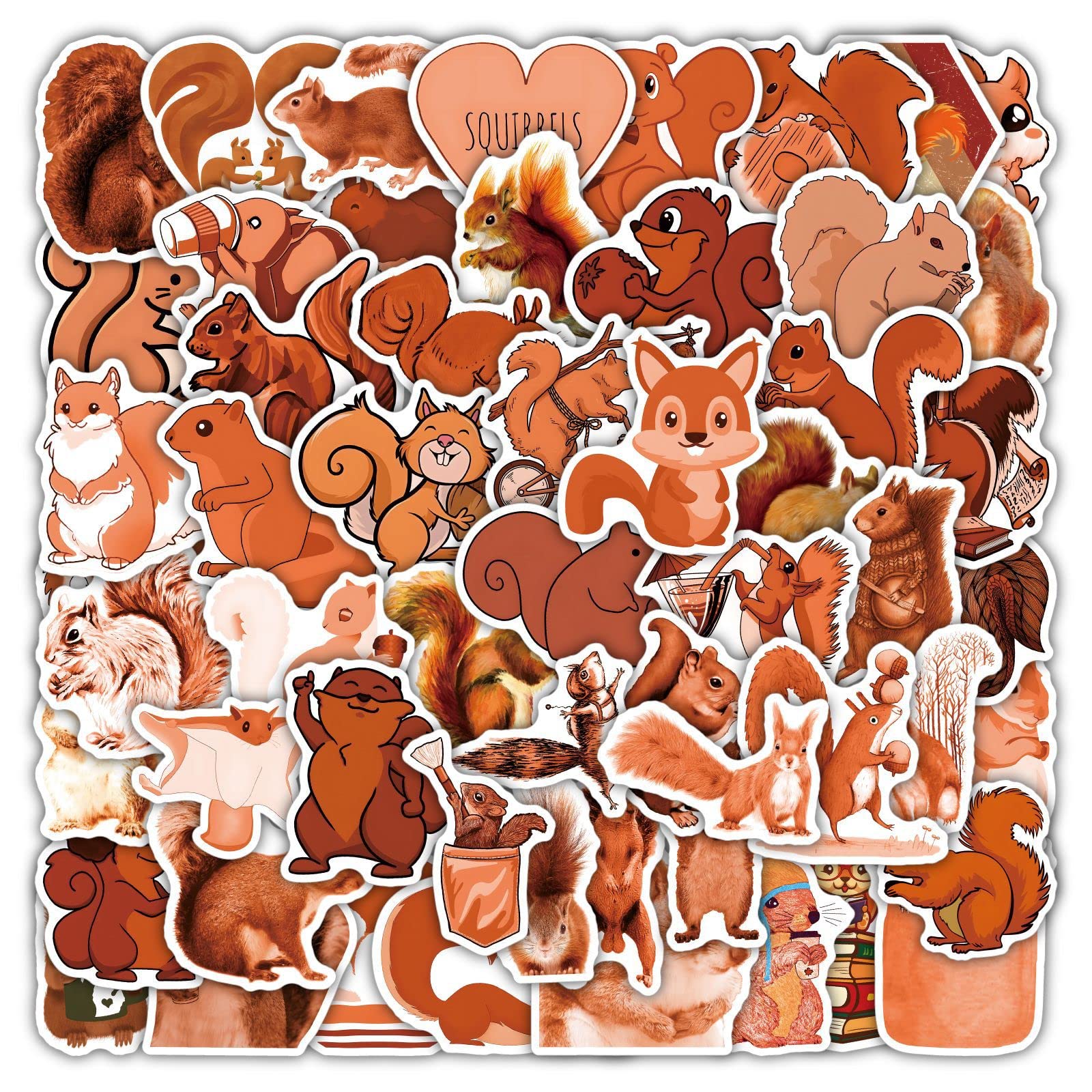 AUCEKO Aufkleber Pack 50 Stück Eichhörnchen Sticker Set Squirrel Aufkleber Graffiti Decal wasserdichte Vinyl Sticker für Laptop Kinder Autos Motorrad Fahrrad Skateboard Gepäck Koffer von AUCEKO