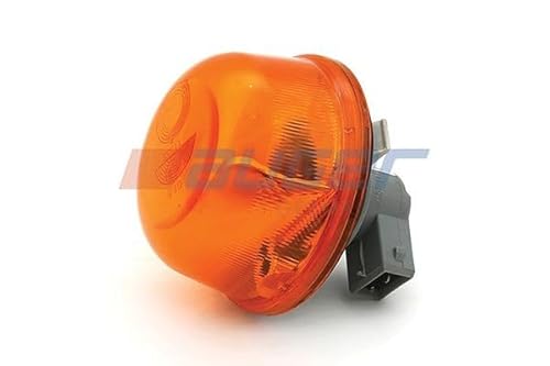 AUGER 93012 Blinker 0.106kg von AUGER