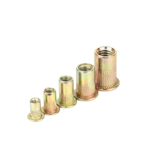 M3 M4 M5 M6 M8 M10 M12 Zinc Plated Carbon Steel Knurled Nuts Rivnut Flat Head Threaded Rivet Insert Nutsert Cap Rivet Nut AXHNGUQB(M8 20pcs) von AXHNGUQB