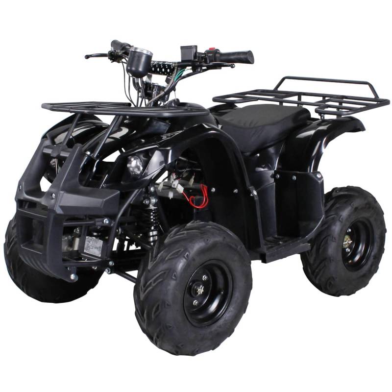 Original Actionbikes Kinder Elektro Quad S-8 Farmer I 𝟭𝟬𝟬𝟬 Watt Elektromotor - Miniquad - Ausdauernde 4 x 12 Volt 20AH Batterien - Drehgasgriff - Bis zu 20 km/h (Schwarz) von Actionbikes Motors