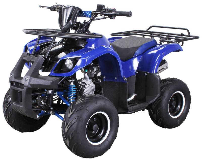 Actionbikes Motors Kinder Quad S-8 Farmer | 4 Takt 125 cc 7 kW Benzinmotor - Bis 50 km/h - Pocket Quad - Kinderquad - Miniquad - Not-Aus-Leine - Daumengas drosselbar - Kinderfahrzeug (Blau) von Actionbikes Motors