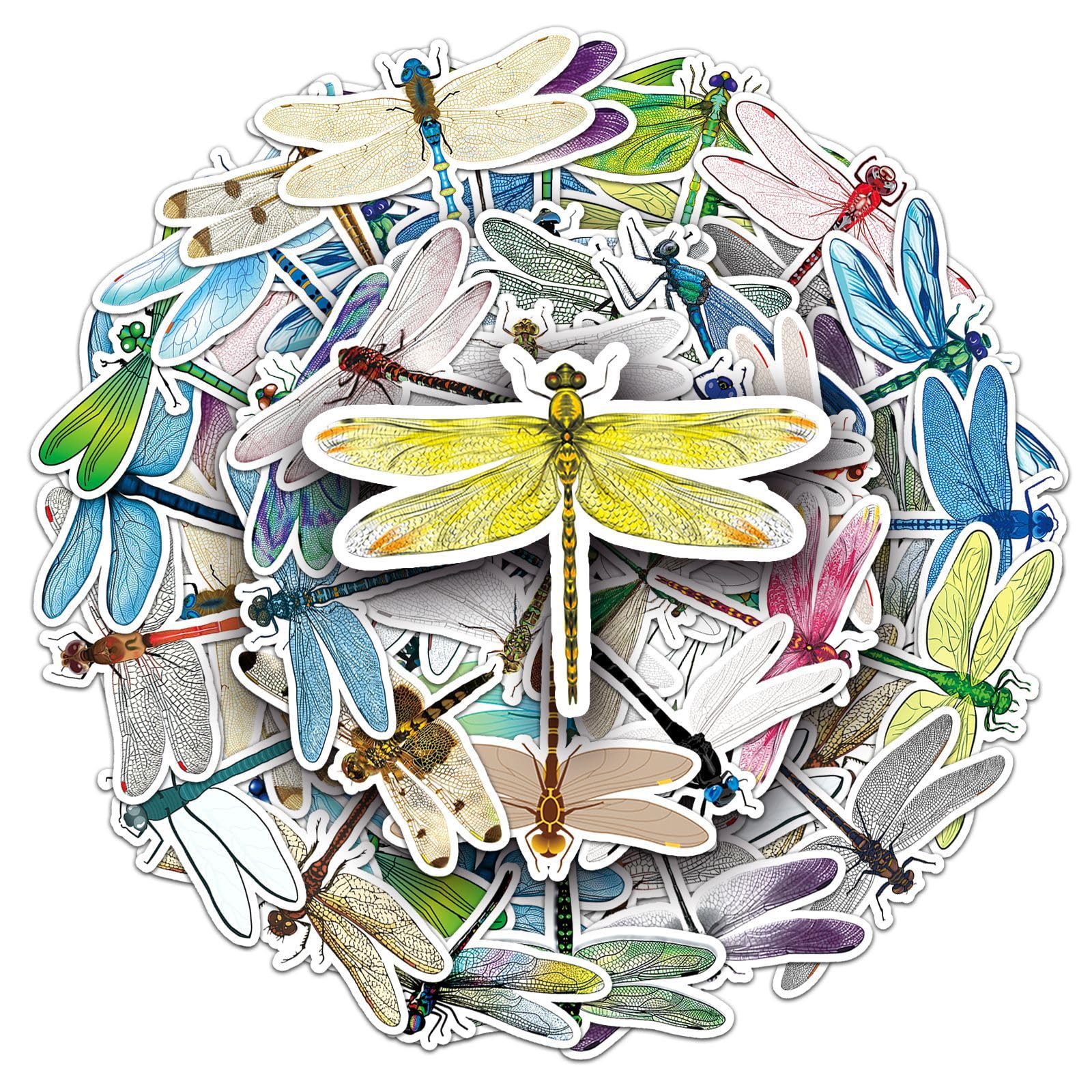 Dragonfly Aufkleber für Laptop (50 PCS),Geschenk für Kinder Jugendliche Erwachsene Jungen,Nein Stickers Wasserdicht Vinyl Aufkleber für Scrapbook,Skateboard,Auto,Gepäck von Affoto