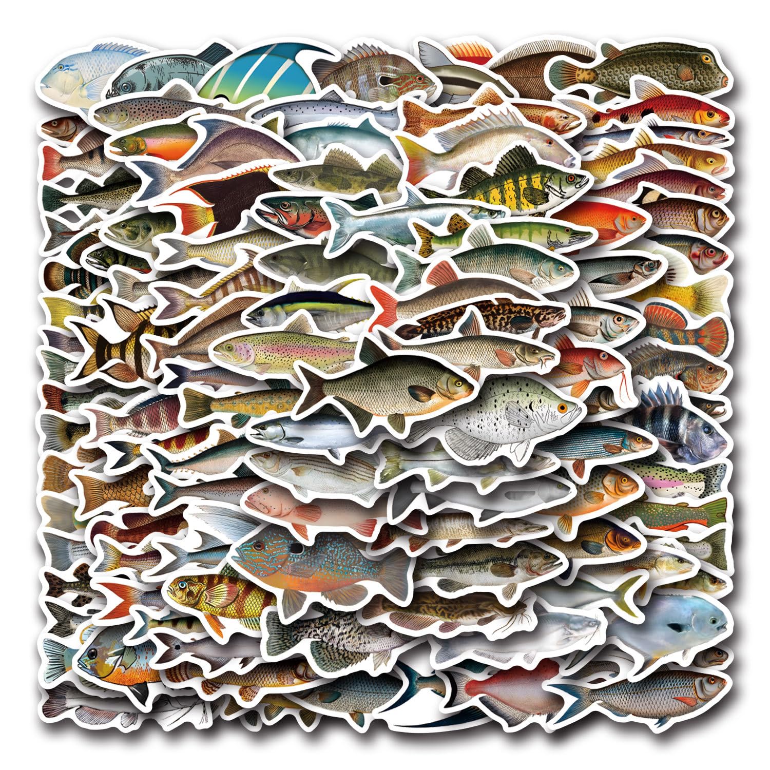 Fische Aufkleber für Laptop(100PCS),Geschenk für Kinder Jugendliche Erwachsene Jungen,Fish Wasserdicht Vinyl Aufkleber Stickers für Scrapbook,Skateboard,Auto,Gepäck von Affoto