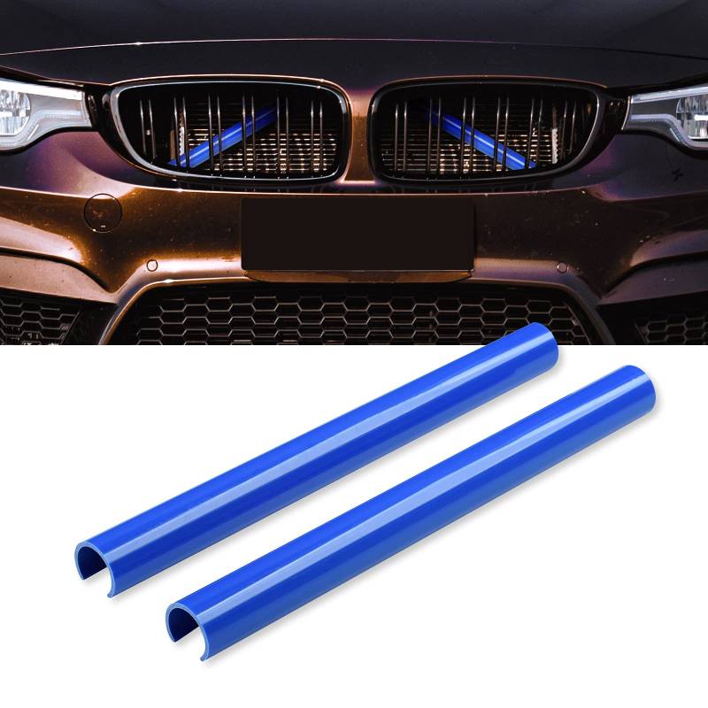 AggAuto 1 Paar Front-Kühlergrille Einsätze, Grill Inserts, Kühlergrillstreifen für BMW 5 Series GT F07, Sedan F10, Touring F11, BMW F18, BMW X1 F48, BMW X2 F39(Blau) von AggAuto