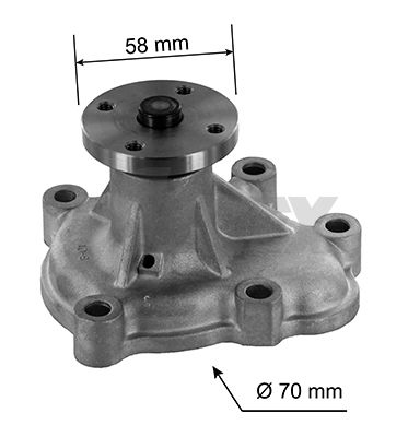 Wasserpumpe, Motorkühlung Airtex 1550 von Airtex