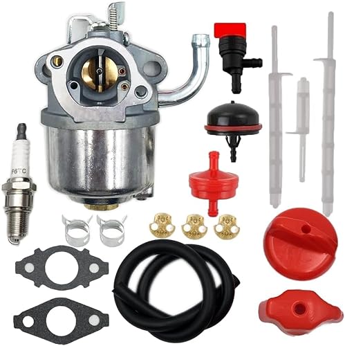 Ajnlx Vergaser kompatibel mit Craftsman Modell 536.881651 Schneefräse Ersatz Vergaser Teil von Ajnlx