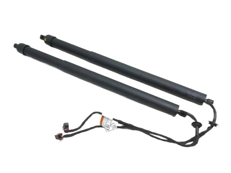 Auto Kofferraum Gasfedern Für Land Für Rover Für Range Für Rover Für Evoque Für Dynamic S Sport/SE Für HSE 2018-2020 Power Hatch Lift Support D4010 LR114632 Kofferraum Gasfeder(A Pair) von Amxaqjc