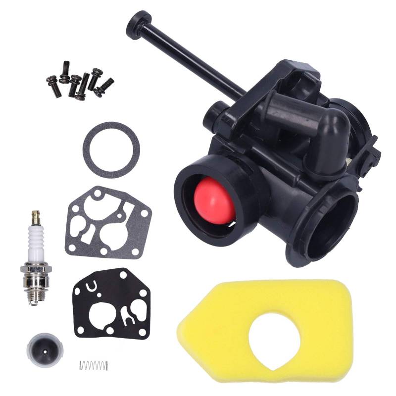 Carburetor Kit Geeignet für 795477 795469 794147 699660 794161 498811 698369 Teile von Aoaoy