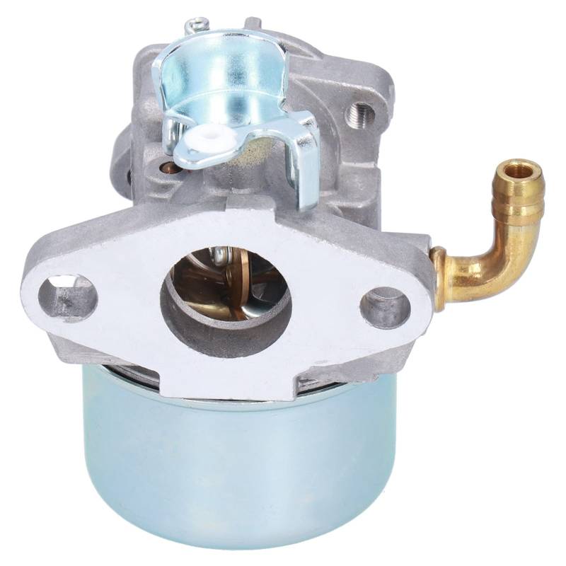 Carburetor -Kraftstofffilter für 696981 698860 694508 795069 698859 790180 790290 693865 697354 698474 791991 von Aoaoy