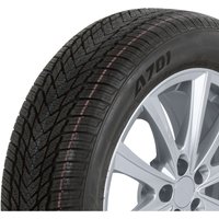 Winterreifen APLUS A701 205/65R15 94H von Aplus