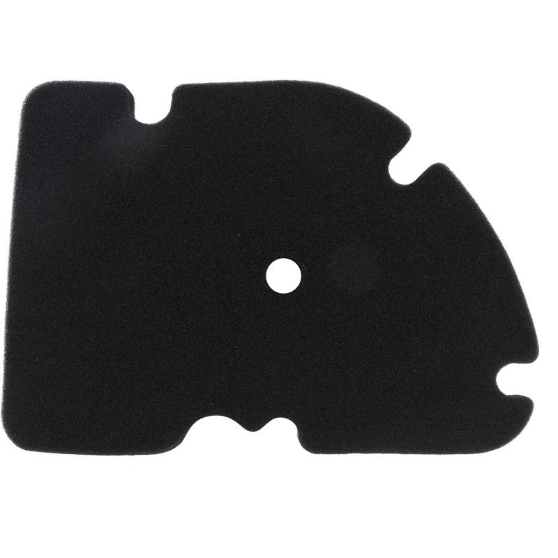 Aramox Austausch des Luftfilterelements, Luftfilter-Reinigungselement 88600352 Ersatz Passend für Vespa GTS 250 GTS 300 GT300 GTV250 von Aramox