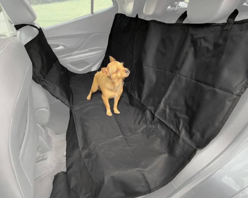 Auto Accessori Lupex Autositzbezug 4in1 für Hunde, Universal, 137 x 147 cm, Hunde und Katzen Tiere, Auto SUV Tankwagen, Hängematte, Sitzschutz für Kofferraum, wasserdicht und kratzfest von Auto Accessori Lupex