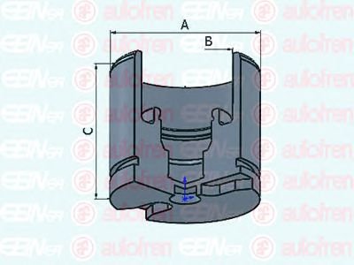 Autofren Seinsa D025256 Kolben, Bremssattel von Autofren Seinsa