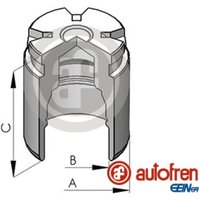 Kolben, Bremssattel AUTOFREN SEINSA D025530, Hinten von Autofren Seinsa