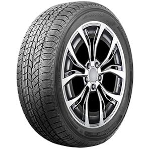 AUTOGREEN Winterreifen 205/65 R 15 TL 94T SNOW CHASER AW02 BSW M+S 3PMSF von Autogreen