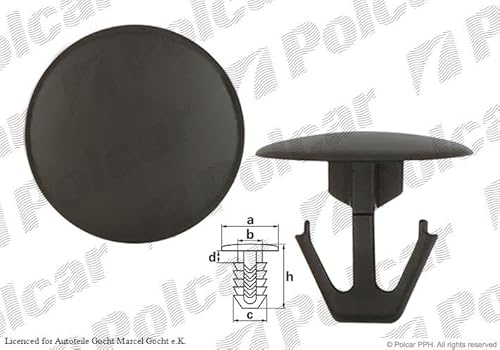 Dichtungsklemme Kompatibel mit Honda Accord Viii 2008-2012 von Autoteile Gocht von Autoteile Gocht