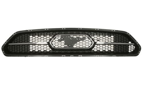 Kühlergrill Kühlergitter Frontgrill Kompatibel mit Ford USA Mustang Coupe 2017-2023 von Autoteile Gocht von Autoteile Gocht