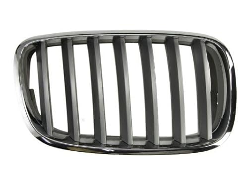 Kühlergitter Kühlergrill Matt Set u. Links/Rechts Kompatibel mit BMW X5 E70 2006-2010 von Autoteile Gocht von Autoteile Gocht