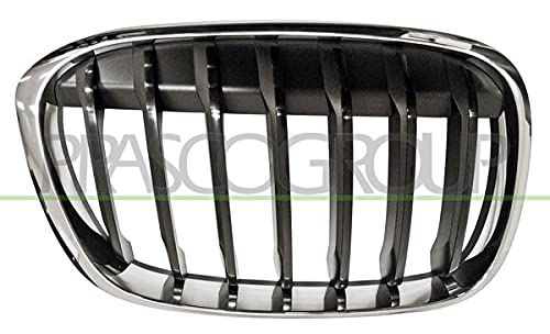 Kühlergitter Kühlergrill Set u. Links/Rechts Kompatibel mit BMW X1 F48 2014-2019 von Autoteile Gocht von Autoteile Gocht